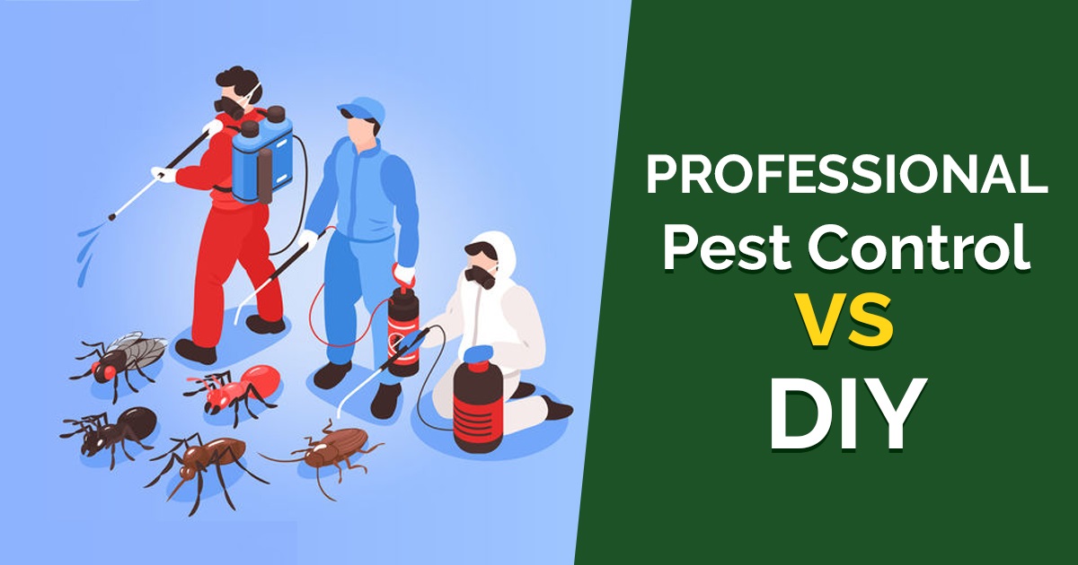 Professional VS DIY Pest Control – What Is Best For You? | Pest Control ...